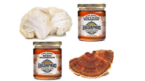 Dare to Bee Unique Adaptogen Mushroom Honey