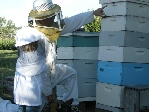 Adopt a Honey Bee Share - The Whole Hive